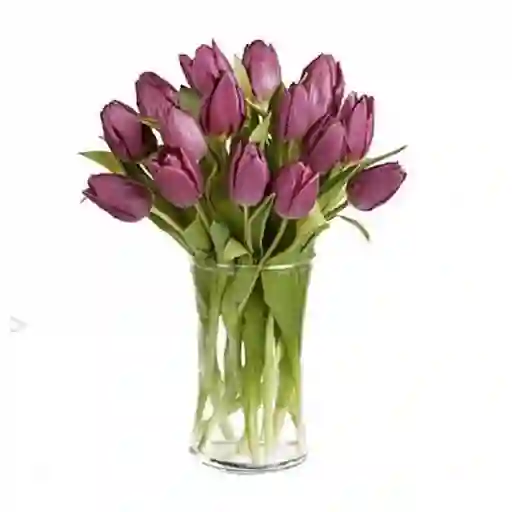 Arreglo Floral 15 Tulipanes Morados Flag Purple En Jarrón