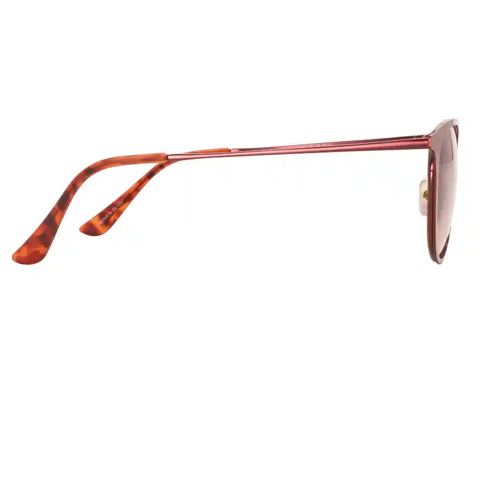 Gafas de Sol Foster Grant Cc 18 05