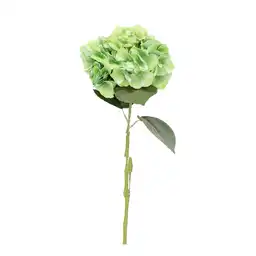 Hortensia Gio Home Verde
