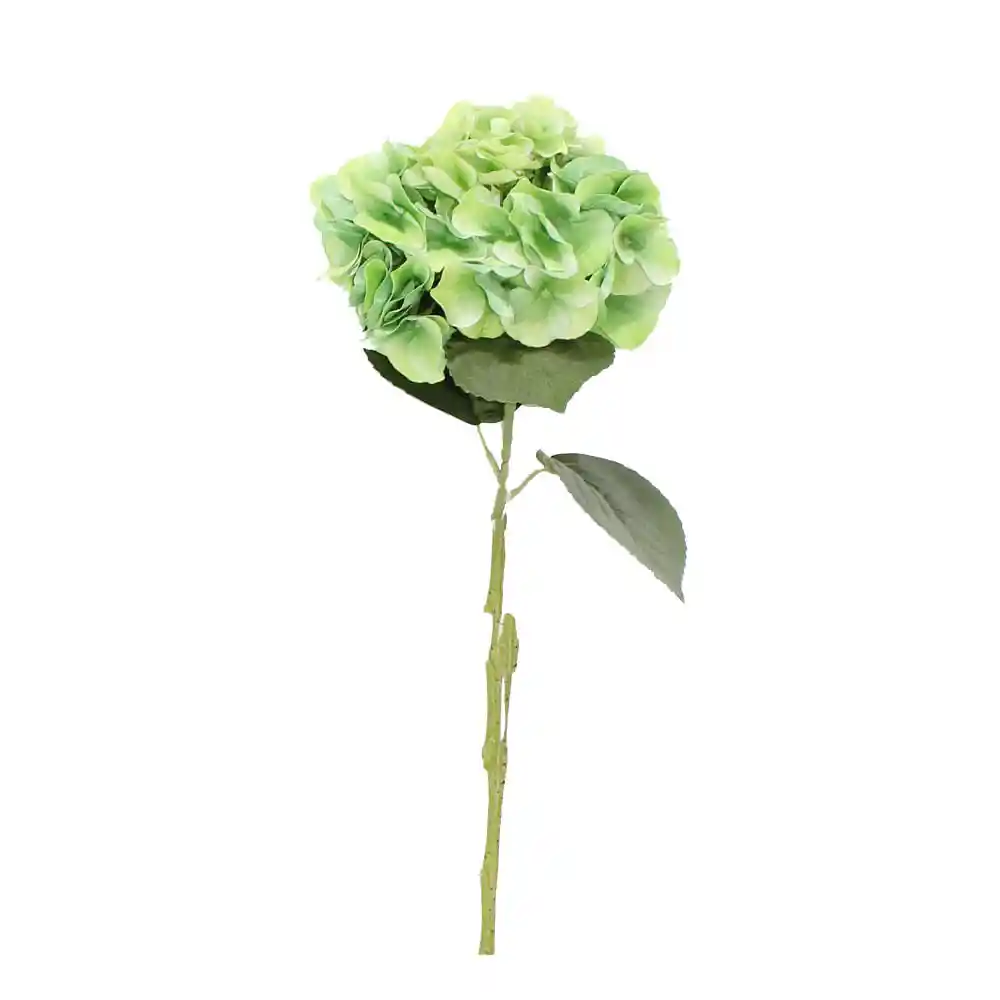 Hortensia Gio Home Verde