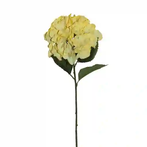 Hortensia Gio Home Grande Amarillo