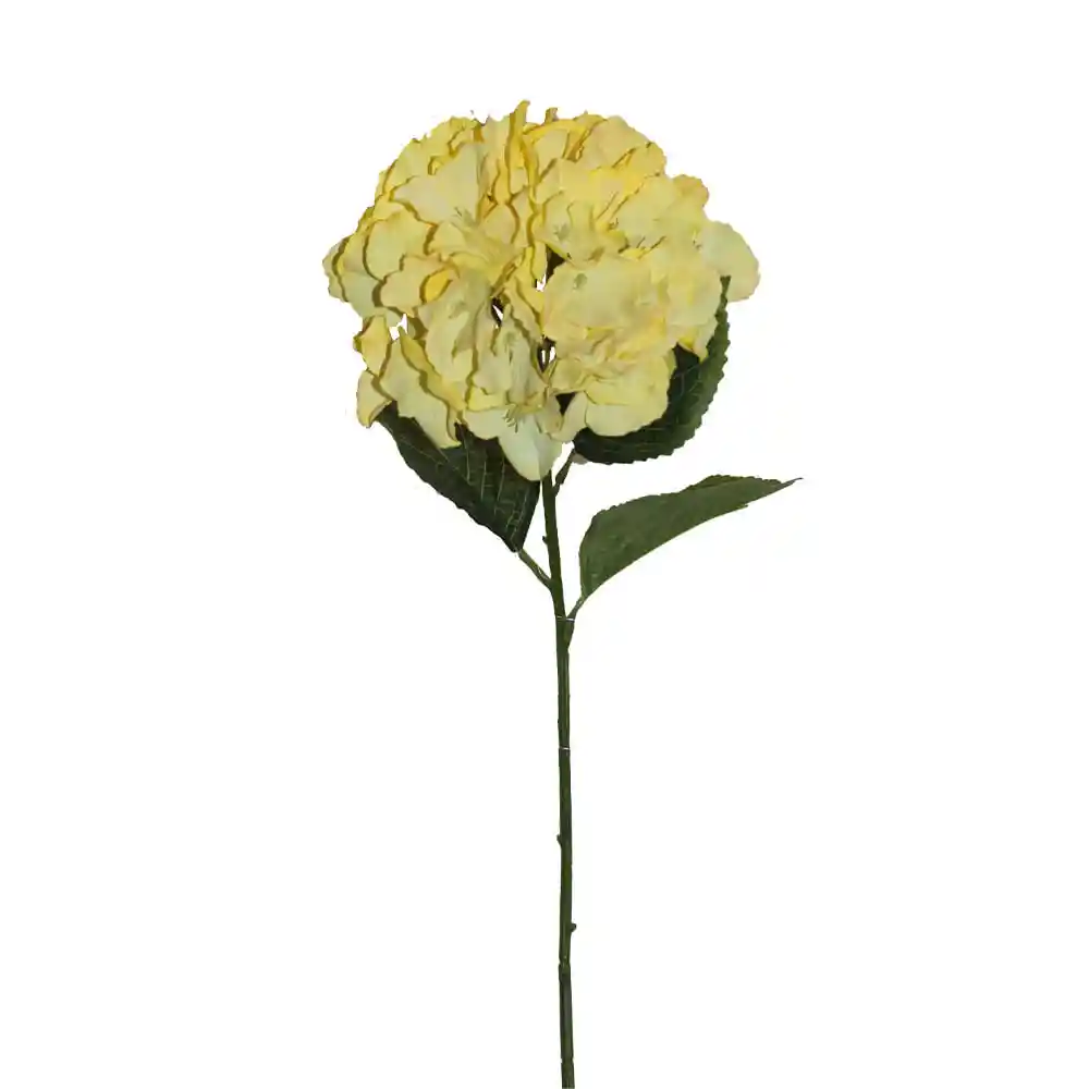 Hortensia Gio Home Grande Amarillo