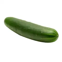 Pepino Cohombro