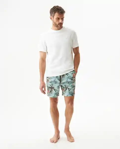 Bermuda Aquarela Beach Swimwear Verde Posco Claro L Chevignon