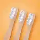 Cepillo de Dientes Biodegradable Ecológico de Bambú Miniso