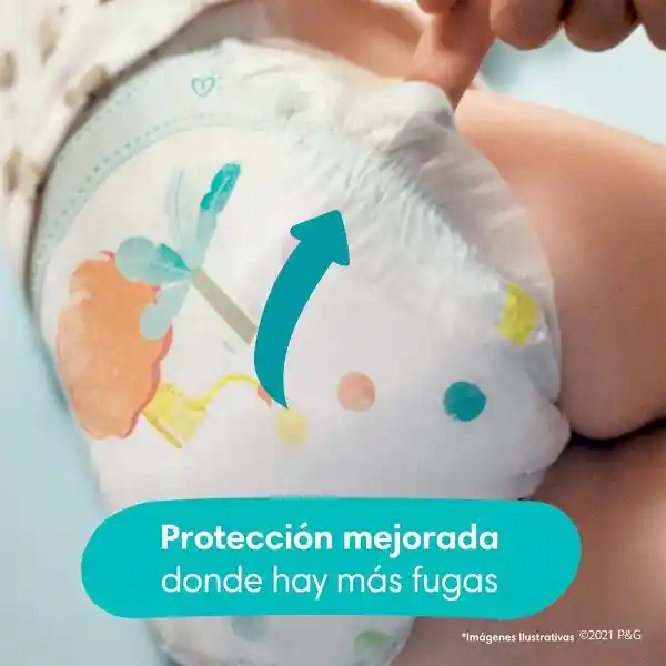 Pampers Pañales Baby Dry Etapa 1