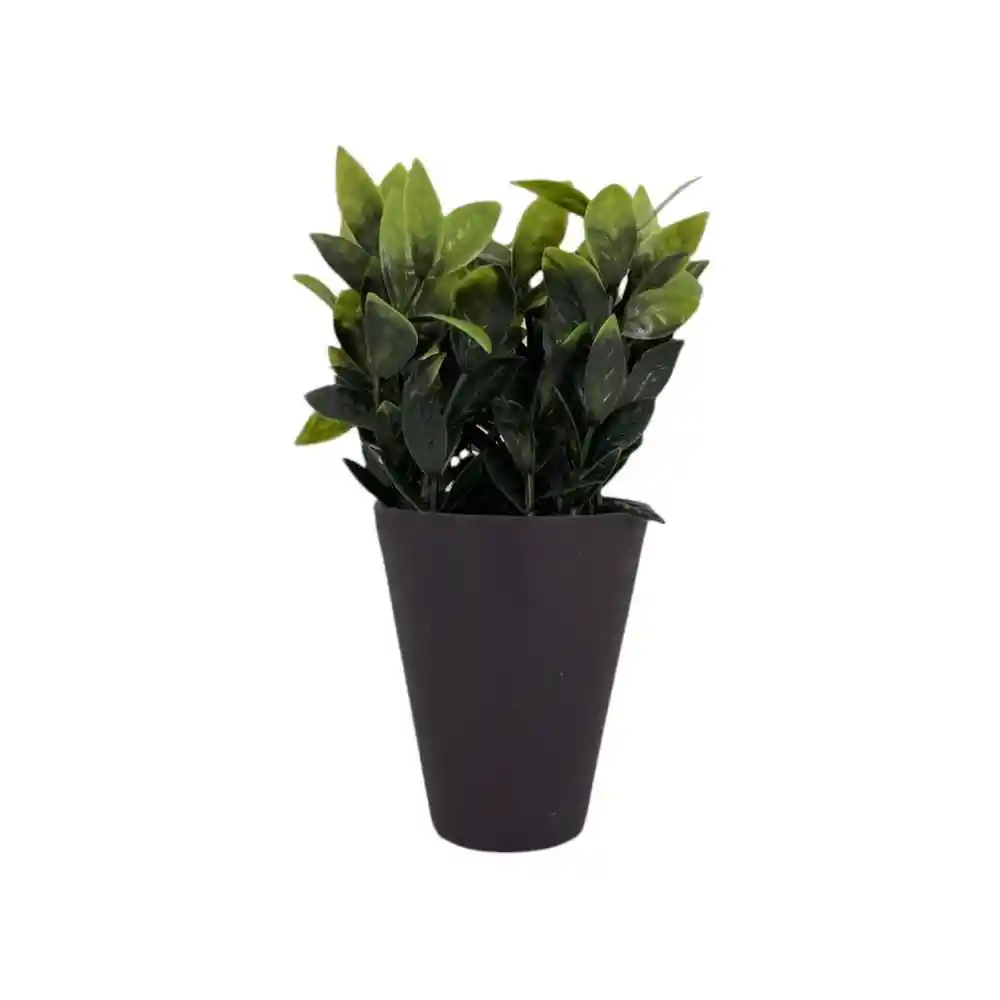 Planta Con Pote Laurel Concepts 592301396