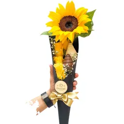 Black Cone Sunflower X2