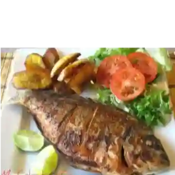 Mojarra Negra