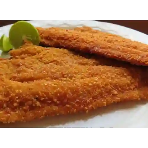 Robalo Apanado
