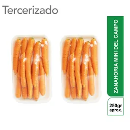2 x Zanahoria Mini del Campo Turbo