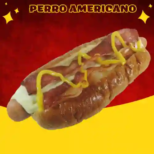 Perro Americano