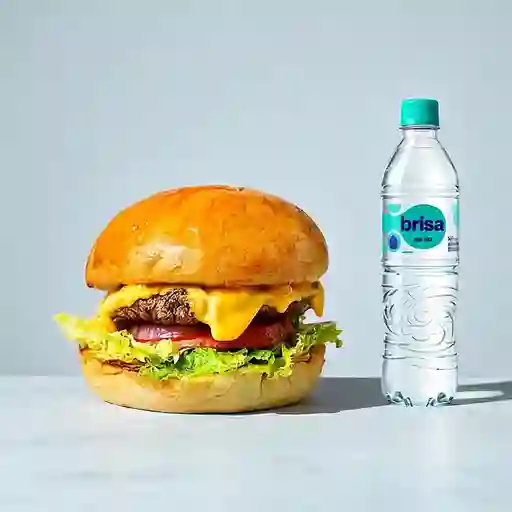 Combo Artesana Chesee + Brisa Sin Gas 600ML