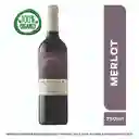 Adobe Vino Merlot