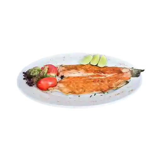 Trucha de la Casa