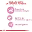 Royal Canin Alimento para Gatitos Esterilizado