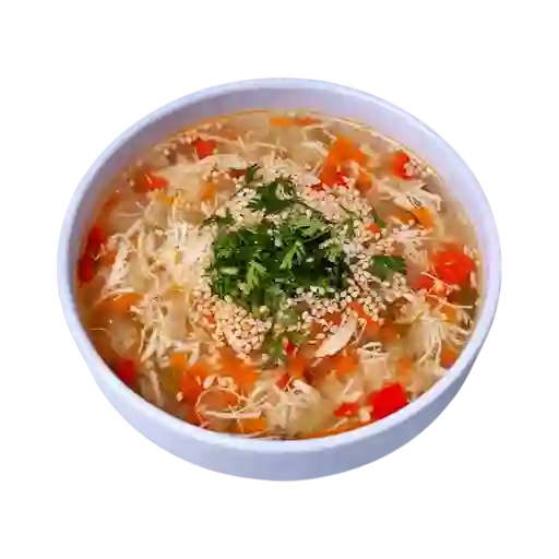Sopa de Pollo con Vegetales