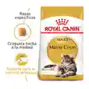 Royal Canin Feline Breed Nutrition Dry Maine Coon Adult 2Kg