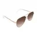 Gafas Unisex Color Oro Rosa X17094 Steve Madden