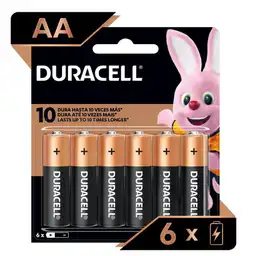 Duracell Pilas Alcalinas AA
