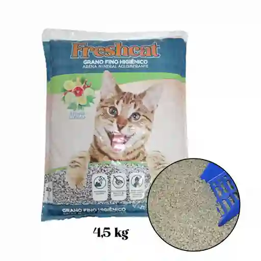 Freshcat Arena Para Gatos