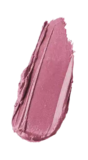 Silk F Lipstick 560B