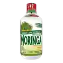 Natural Freshly Bebida Moringa