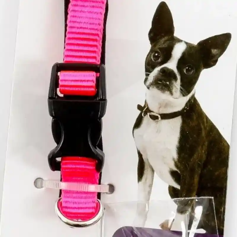 Clark Collar Para Perro Acolchado Fucsia Talla S