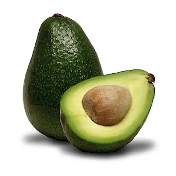 Aguacate Común