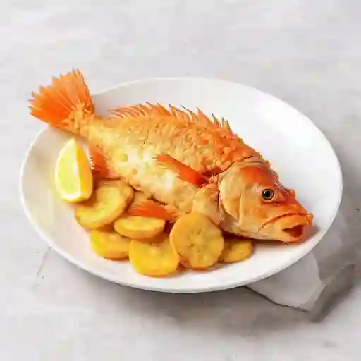 Pargo Frito