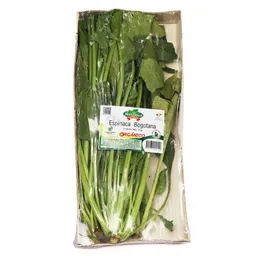 Hortifresco Espinaca Bogotana Orgánica