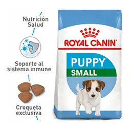 Royal Canin Alimento para Perro Puppy Mini Adulto 
