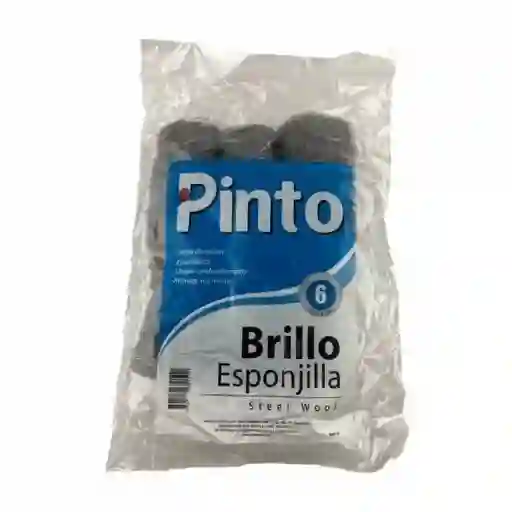 Pinto Esponja de Brillo Fino