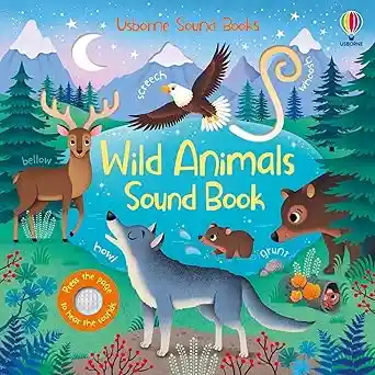 Wild Animals Sound Book - Lossa / Federica Ilustradora