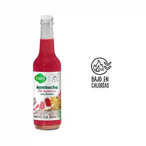 Kombucha Flor de Jamaica Taeq (215 Ml)