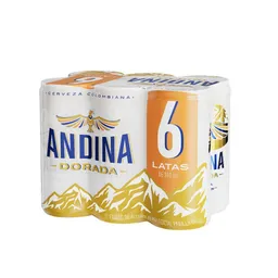 Cerveza Andina six pack