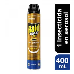 Raid insecticida aerosol mata insectos rastreros, 400ml