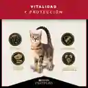 Comida para Gatos Adultos Purina Pro Plan x 7,5 kg