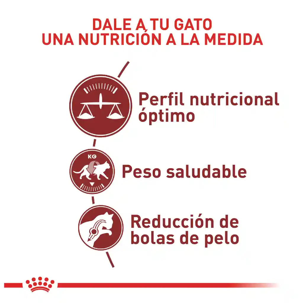 Royal Canin Alimento para Gatos Adultos Regular Fit 