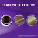 Palette Tinte Intensive Color Creme Rubio Claro Cenizo 8-1 50 mL