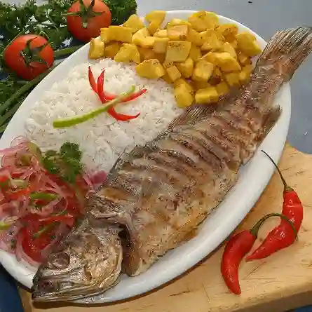 Corvina Frita