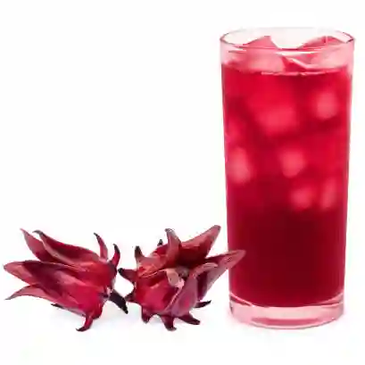 Flor de Jamaica