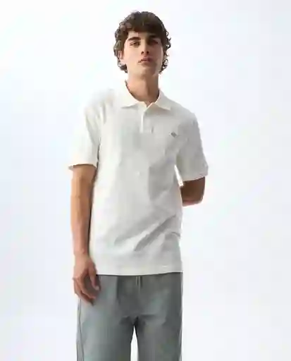 Camiseta Hombre Crudo Talla XL 801G006_CRU110606 Americanino
