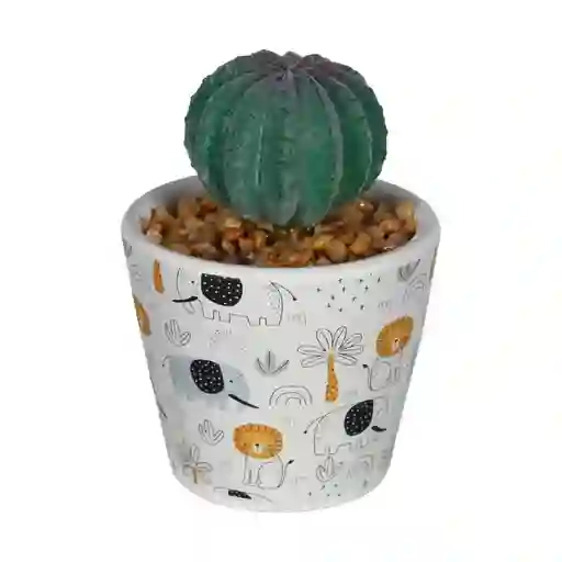 Planta C/pote H&h 442-281460