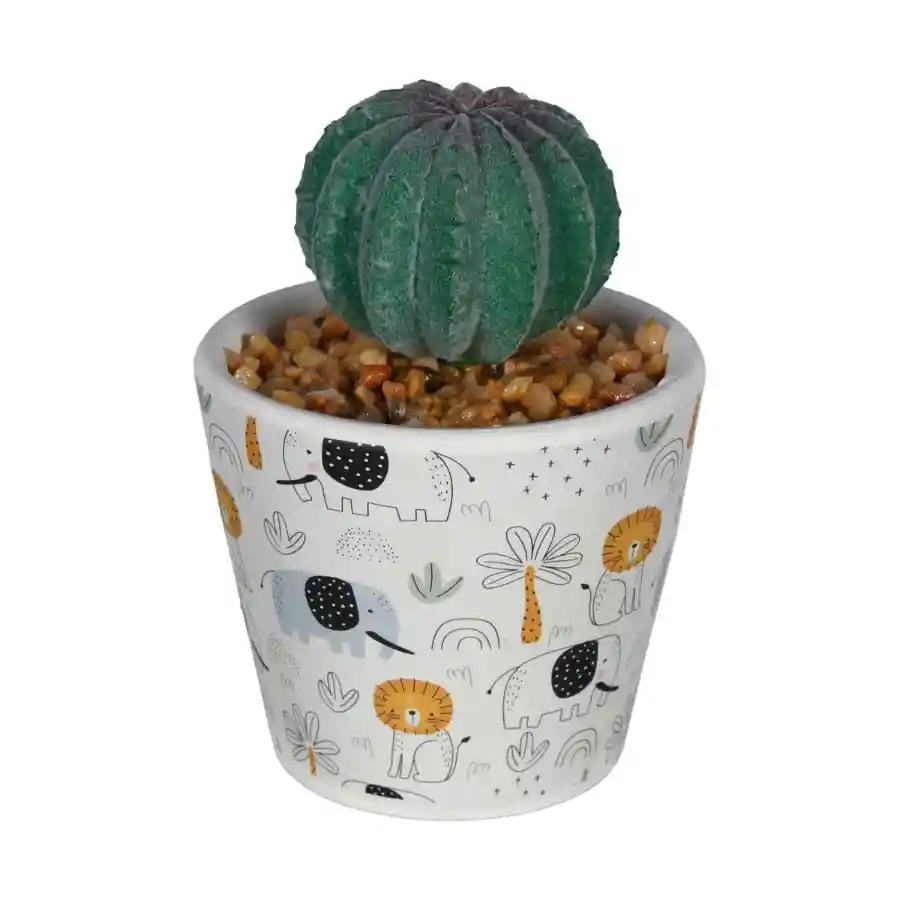 Planta C/pote H&h 442-281460