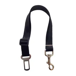 Interpet Correa Perro Seguridad Auto Pc-0089