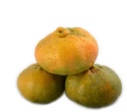 Mandarina Arrayana - Éxito -