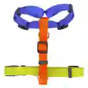 Arnes Para Mascota