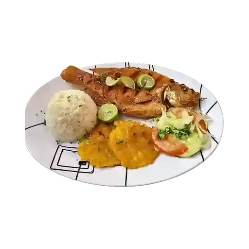 Mojarra Roja 500Gr