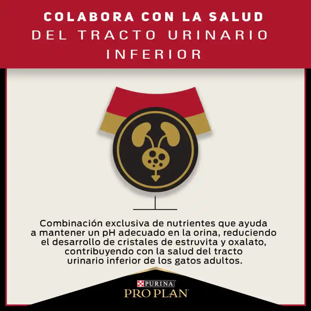 Comida para Gatos Adultos Purina Pro Plan x 3 kg